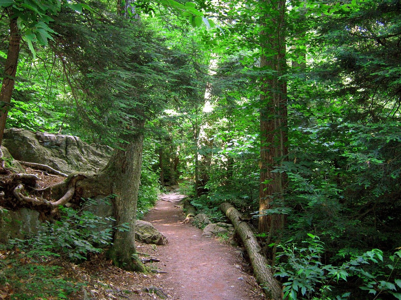 Watkins Glen State Park: The Complete Guide